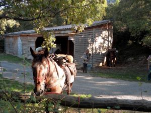 Tour des Baronnies à cheval Gîte d'étape pour les randonneurs équestres