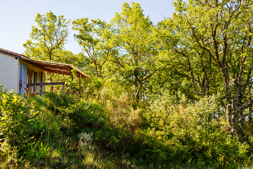 Nos deux jolis petits chalets vous accueillent pour des vacances calmes et inoubliables dans la natures