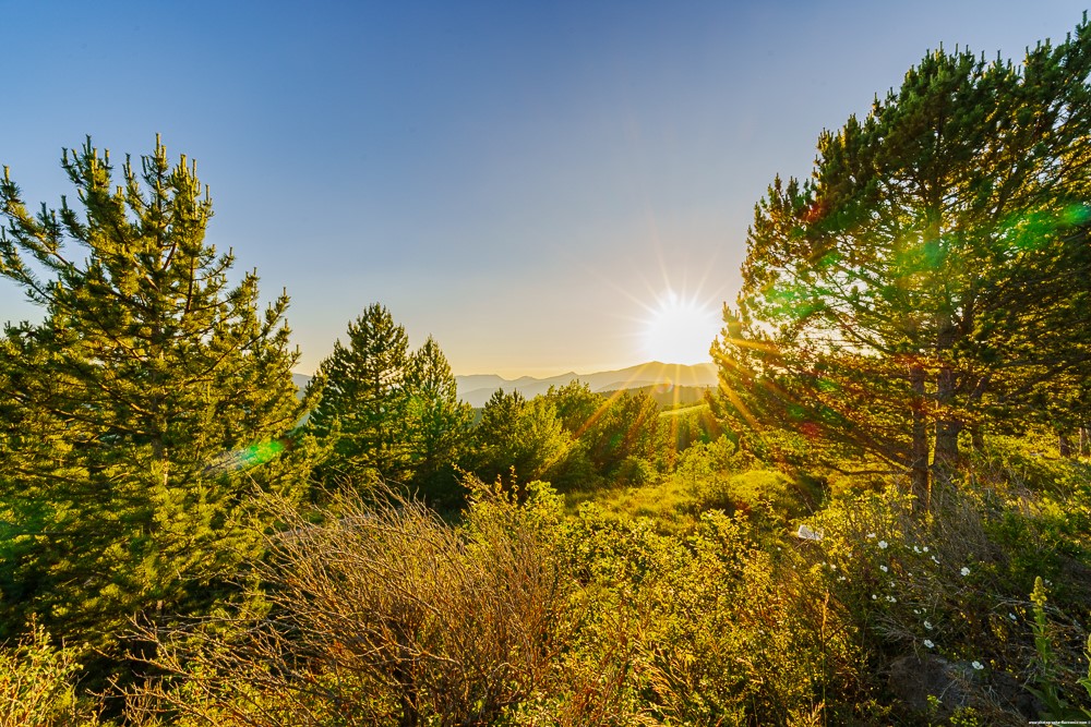 Louer un gîte dans la nature